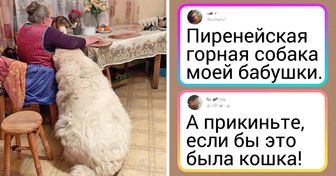 18 нереально огромных вещей, суть которых можно понять, только сравнив их с чем-нибудь другим