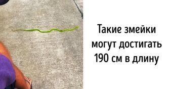 Девушка, переехавшая в Таиланд, рассказывает о том, что скрыто в этой стране от глаз туристов