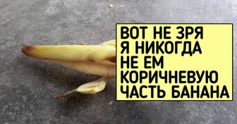 18 штуковин, которые выглядят безумно аппетитно, но не верьте своим глазам — есть их не стоит