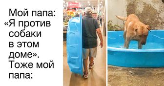 16 убедительных доказательств того, что мужская логика ничем не уступает женской