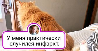 17 человек, которым привиделось такое, что хоть стой, хоть падай