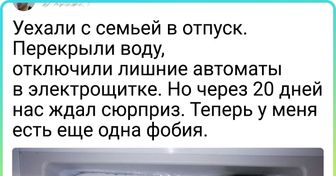 16 человек, которые привезли из отпуска такие истории, что хоть вместо анекдотов рассказывай