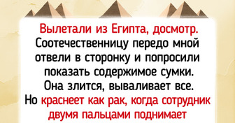 15 историй, развернувшихся не где-нибудь, а в путешествии
