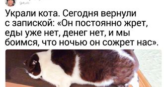 20 питомцев, справиться с буйным нравом которых под силу только их хозяевам