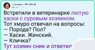 20+ легких твитов о рядовых ситуациях, которые вызывают улыбку