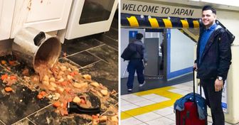 20+ фото, которые отражают всю боль фразы «не мой день»