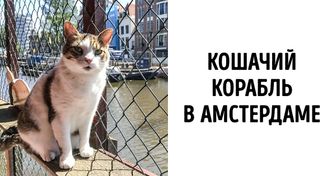 Названы самые недооцененные достопримечательности Европы (По версии британских журналистов)