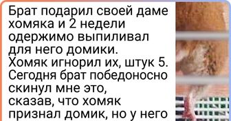 19 доказательств того, что самоиронией можно покорить. А потом догнать и еще раз покорить
