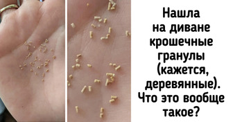 18 человек показали непонятные предметы, о предназначении которых догадаться было непросто