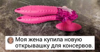 20+ вещей, которые вызывают один вопрос: «Что ты такое?»