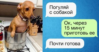 15 СМС от людей, которым не занимать находчивости