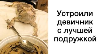 В мире всегда есть место настоящей дружбе. Если сомневаетесь, взгляните на несколько фото