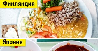 Как выглядит школьная еда в 20 странах. Глядя на некоторые фото, мы даже чуточку позавидовали