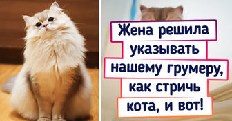 20+ фото, на которых такая разница, что глаза на лоб лезут