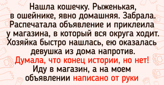 16 историй, от прочтения которых станет так же тепло, как от яркого летнего солнышка