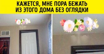 25 человек, которые до сих пор в шоке от увиденного