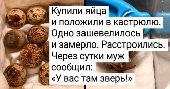 17 доказательств того, что жизнь побеждает все