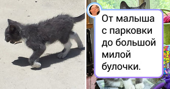 18 фото до и после, которые покажут, как любовь и забота меняют все