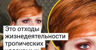 10 ингредиентов, которые скрываются в составе вашей косметики, а вы об этом и не догадываетесь
