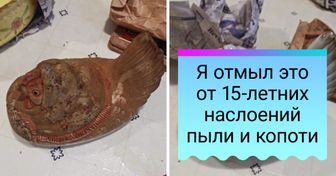20+ человек, которые отмоют что угодно — дайте только время