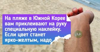 20+ доказательств того, что Южная Корея — это совершенно другой мир, который давно живет по своим правилам