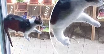 15+ фотографий, которые выглядят загадочнее, чем картины сюрреалистов