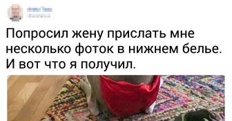 15+ раз, когда люди в точности следовали инструкциям, но результат получился сомнительным
