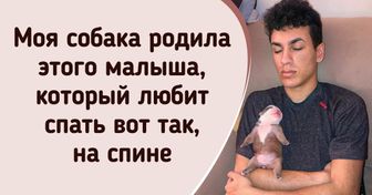 19 человек, которые без ума от своих питомцев и даже спят только с ними в обнимку