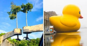 20 фотографий, как будто сделанных в параллельной вселенной
