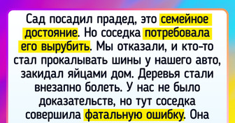 Вредная соседка получила по заслугам, доказав, что не надо рыть другому яму — сам в нее упадешь