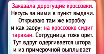 12 человек пришли забрать заказ, но без приключений не ушли