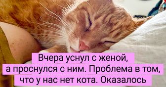15+ утренних происшествий, после которых стало понятно, что денек будет тот еще