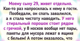 20+ доказательств того, что при наведении чистоты главное не вляпаться в историю
