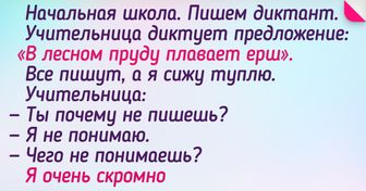 18 человек доказали, что за каждой двойкой и замечанием в школе скрывается юморная история