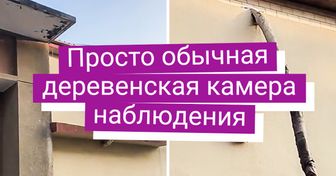 10+ доказательств того, что деревенские жители — это люди с неповторимым взглядом на мир