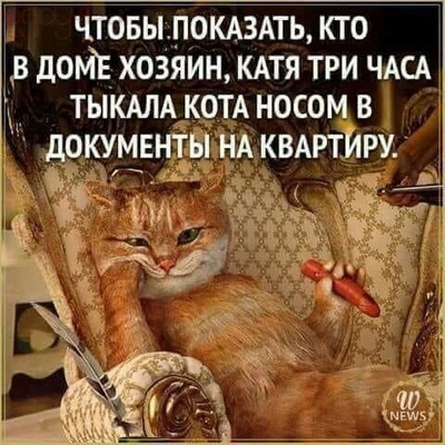 Комментарий с изображением на AdMe.Media